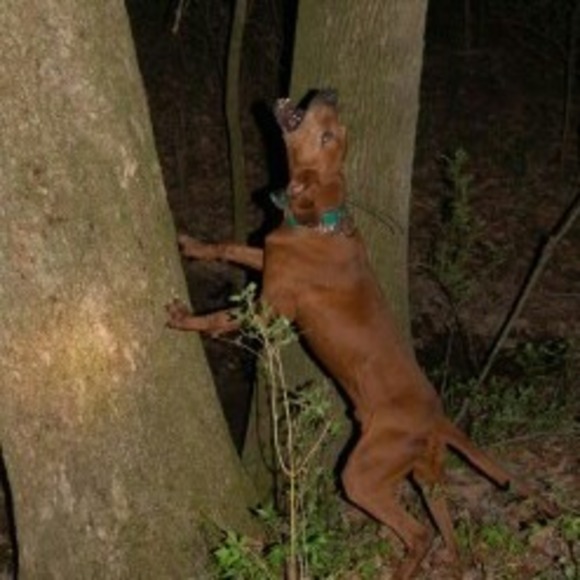 Meet your Posher, Dustin - Picture 1 of 1